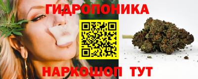 прущие грибы Малгобек