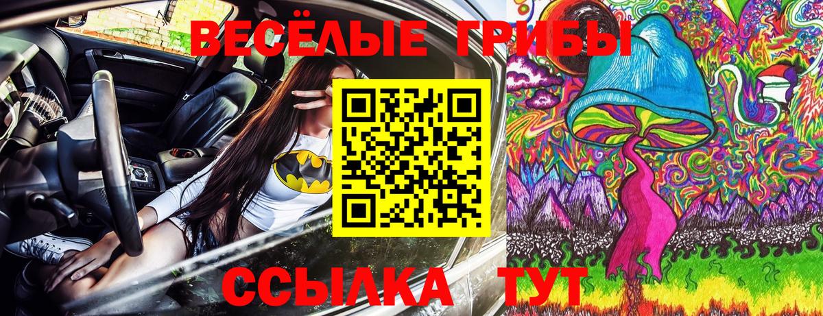 Псилоцибиновые грибы Psilocybine cubensis Чайковский